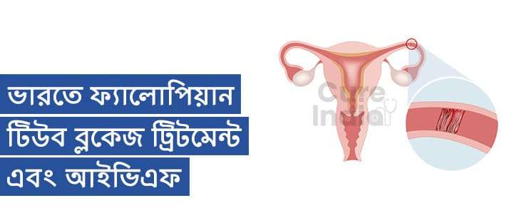 ফ্যালোপিয়ান টিউব ব্লকেজ